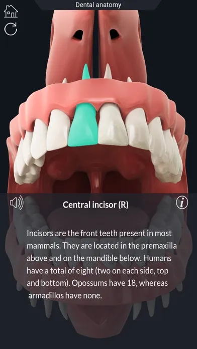 ภาพหน้าจอของ My Dental Anatomy
